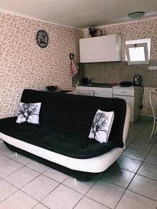 ヘーヴィーズにあるAltan Apartmentsのキッチン付きの客室で、ソファが備わります。
