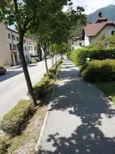 Příroda nedaleko apartmánu