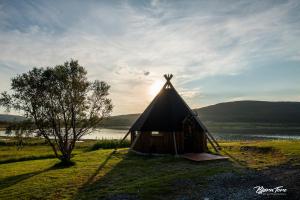 een kleine tent op het gras naast een meer bij Bringnes Camp in Russenes