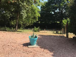 Κήπος έξω από το La Maison Clémenso +7 φωτογραφίες