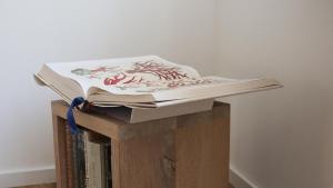 two books sitting on top of a book shelf at Bed & Coffee Maricoweg in Den Burg