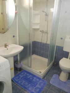 a bathroom with a shower and a sink and a toilet at Apartment Axel in Rovinj