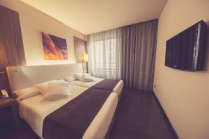 TV a/nebo společenská místnost v ubytování Hotel Aroi Ponferrada