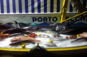 a bunch of fish on a table in a display at La Casa Dei Delfini in Lampedusa
