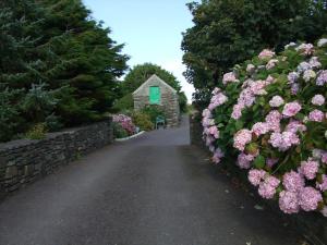 a hedge of pink flowers in front of a house at Reenmore Farmhouse in Ahakista