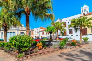 A garden outside La Casita de Brownie