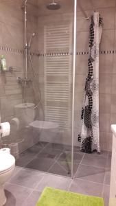 a bathroom with a shower with a toilet and a shower curtain at Casa Andres in Malmedy +18 photos
