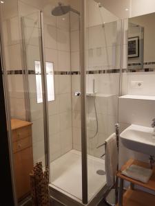 y baño con ducha y puerta de cristal. en Ferienwohnungen zur Post - 102, en Weidenberg