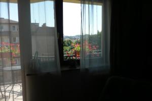 グダニスクにあるCosy, Sunny Apartament 10 min to Old Townの花の咲くバルコニーが見える窓