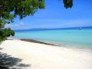 a beach with the ocean and a boat in the water at Panglao Grande Resort 邦劳美丽度假村 in Panglao