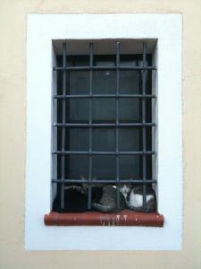 two cats sitting in a window with bars on it at Villa Eleanto in Cefalù