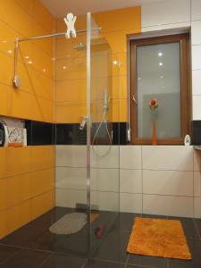 a shower with a glass door in a bathroom at Dom Wakacyjny Kuszewo in Czaplinek