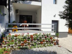Vonkajšia záhrada v ubytovaní Frangipani