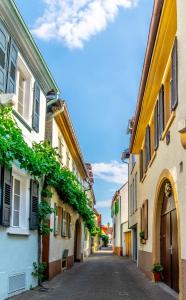 an alley in an old town with buildings at Romantische Ferienwohnungen Deidesheim in Deidesheim