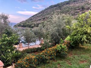 a garden with flowers and trees and a mountain at The Mussel House in Ksamil