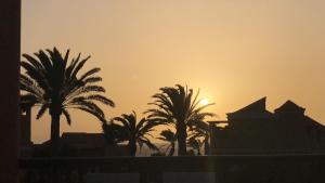a sunset with palm trees in front of a building at Wellenkind Surfschool in La Pared