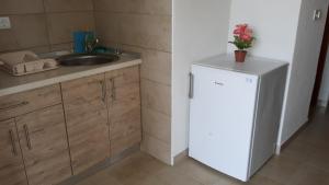 Kuchyň nebo kuchyňský kout v ubytování Apartments Babić