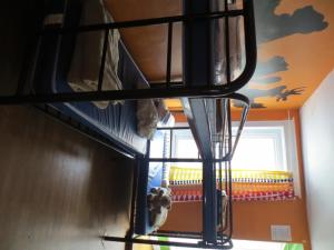 a bunk bed in a room with a window at Auberge Jeunesse La Belle Planete Backpackers Hostel in Quebec City