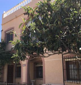ラ・マリーナにあるCasa Phoenix Bed & Breakfastの木の前の建物