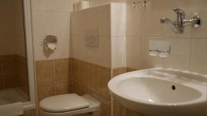 Vannituba majutusasutuses Hotel Bílý Koníček