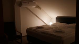 Voodi või voodid majutusasutuse Hotel Bílý Koníček toas