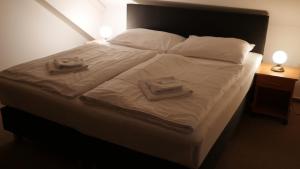 Voodi või voodid majutusasutuse Hotel Bílý Koníček toas