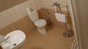 Vannituba majutusasutuses Hotel Bílý Koníček