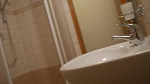 Vannituba majutusasutuses Hotel Bílý Koníček