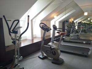 The fitness centre and/or fitness facilities at arte Hotel Linz