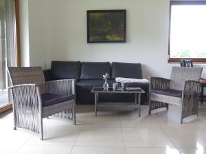 a living room with a couch and chairs and a table at Dom Wakacyjny Kuszewo in Czaplinek