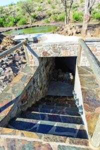 Billede fra billedgalleriet på Tuningi Safari Lodge i Madikwe Game Reserve