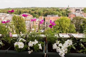 a group of flowers in a window box with a city at Lovely View Ensuite Room in Brussels