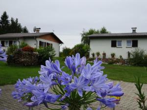Vonkajšia záhrada v ubytovaní Bungalows Raschun Grabelsdorf Etruskerweg 10 A-9122 St.Kanzian