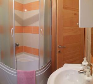 ein Bad mit einer Dusche und einem Waschbecken in der Unterkunft ABAGuesthouse in Sarajevo