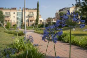 Vonkajšia záhrada v ubytovaní Fellini - Family Flat