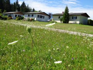Vonkajšia záhrada v ubytovaní Bungalows Raschun Grabelsdorf Etruskerweg 10 A-9122 St.Kanzian