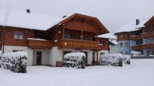 House Arianna v zime