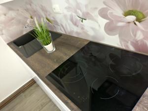 Kuchyň nebo kuchyňský kout v ubytování Apartments Vila DK