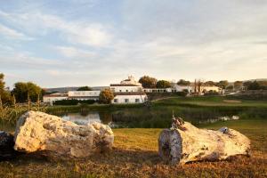 Paisaje cerca de este hotel