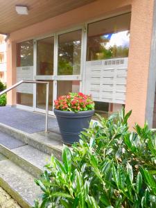 Zahrada ubytování Comfort-Apartment