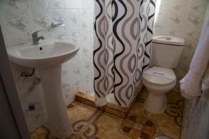 Vannituba majutusasutuses Hotel Pulmahue