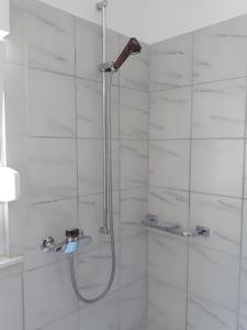 a shower with a shower head in a bathroom at Casa Gudelj in Pirovac +57 photos