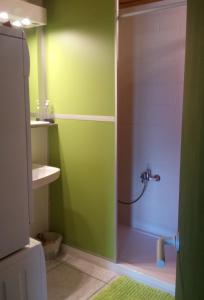 baño con ducha con pared verde en Ap-Art, en La Seu d'Urgell