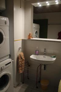 a bathroom with a sink and a washing machine at Ap-Art in La Seu d'Urgell