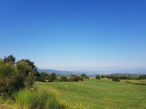 un campo de hierba verde con el océano en el fondo en Agriturismo Le Casaline, en Seggiano