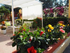 Residence Hotel Vittoria في تيرّينيا: حديقة فيها ورد في سرير ورود تحت مظلة