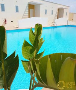 a blue swimming pool with green plants in the foreground at Hotel Sole in Lampedusa +22 photos