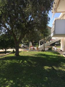 een boom in een tuin naast een huis bij Armonia Apartment in Plataria