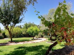 Jardín al aire libre en Quinta do Feonix