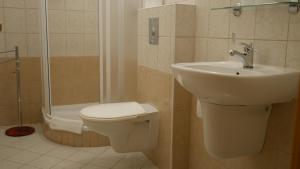 Vannituba majutusasutuses Hotel Bílý Koníček